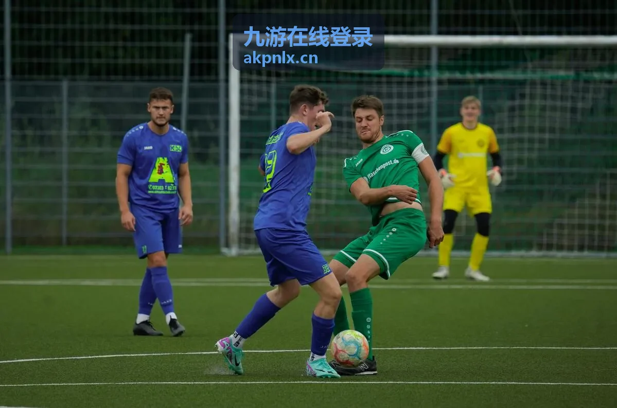 九游在线登录安全中心界面预览